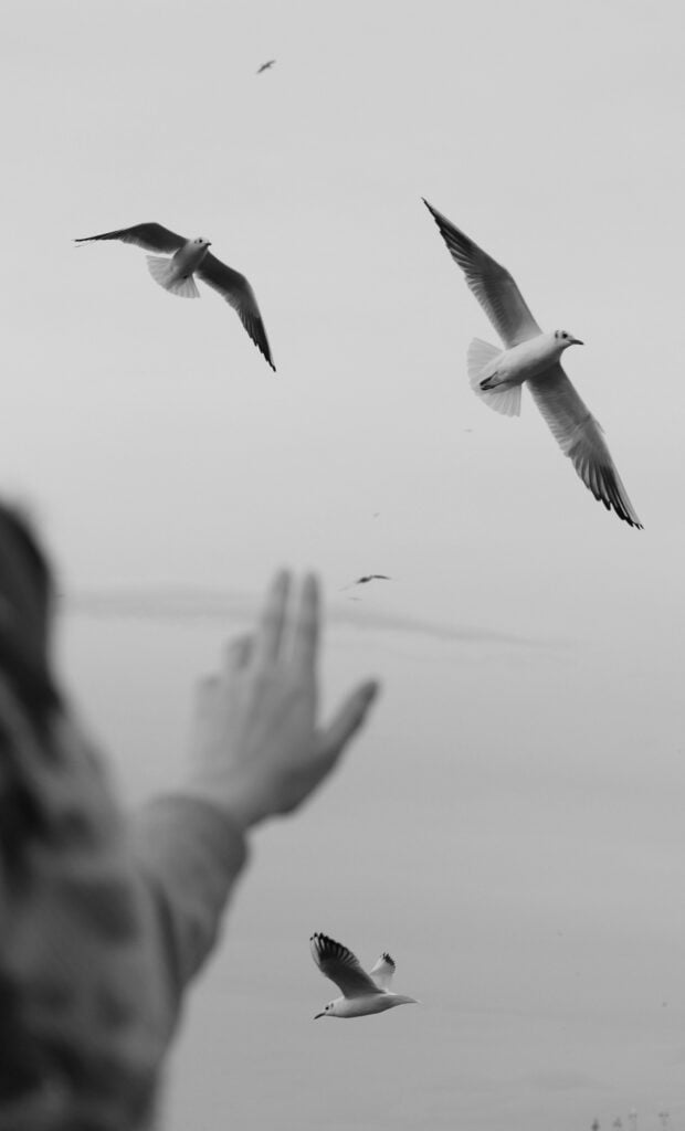courageous hearts blog